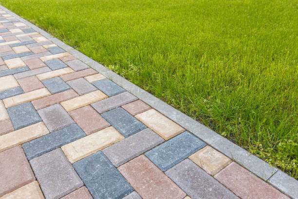 Best Driveway Repair Near Me  in Skidmore, TX
